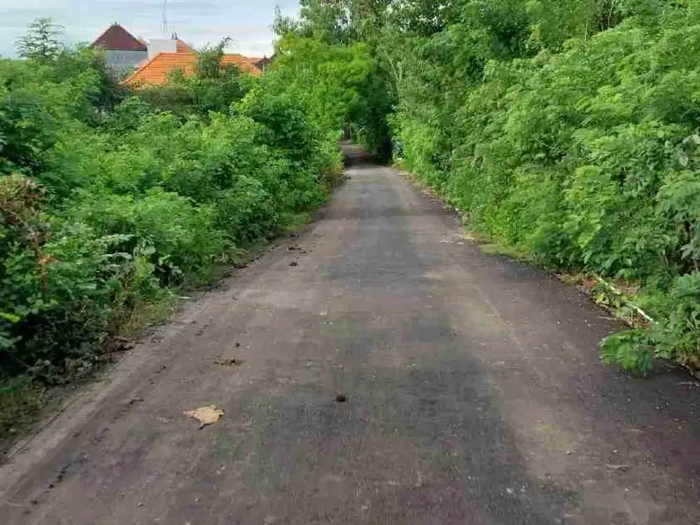 dijual tanah 15 are idr nett 375 juta per are Kawasan pandawa beach kutuh Badung Bali