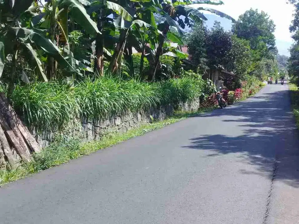 Tanah Strategis SHM Pinggir Jalan Sumbang, Banyumas
