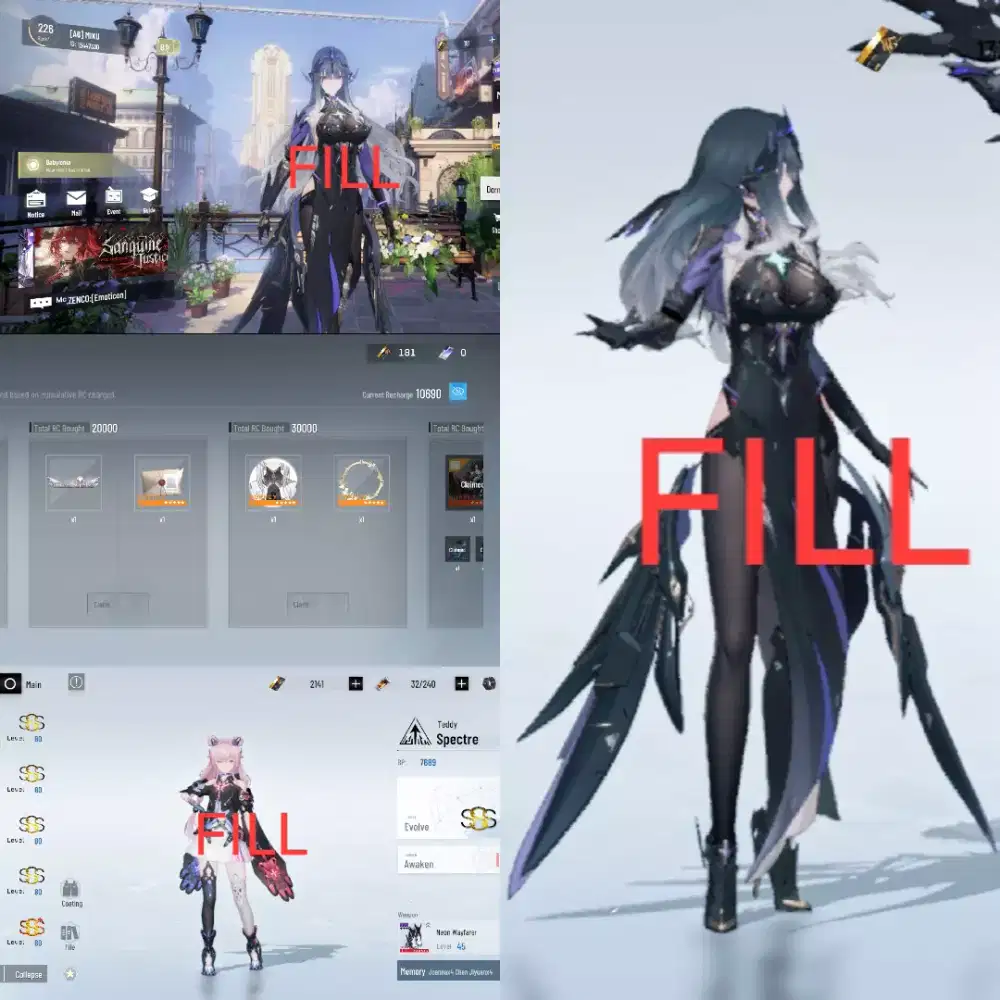 Akun game punishing gray Raven