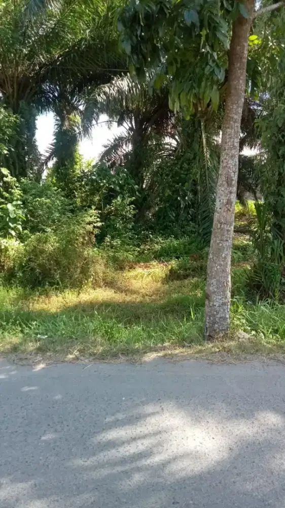 Dijual tanah pinggir jalan akses 2 mobil 80.000.000 nego