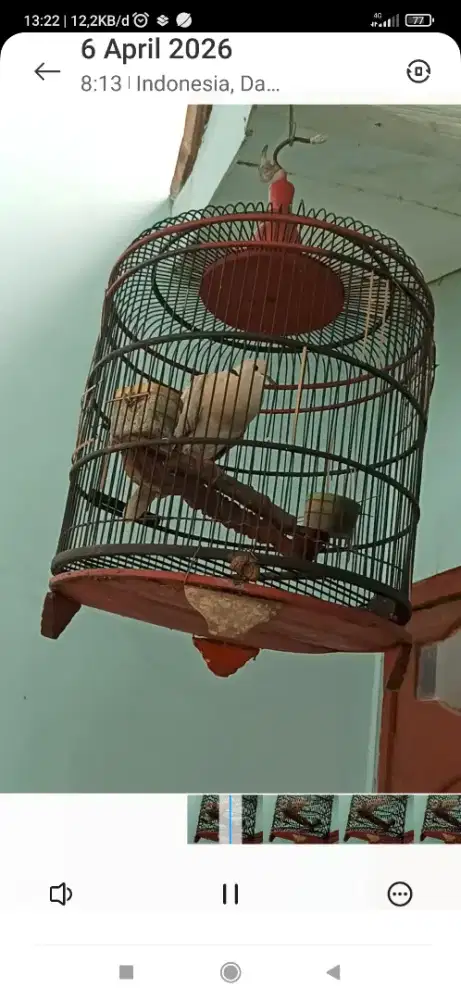 puter pelung suara nangis