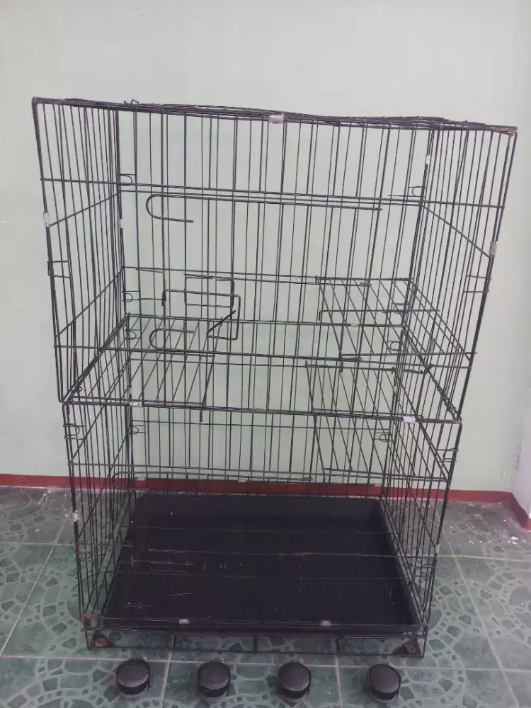 Jual kandang kucing 2 lantai