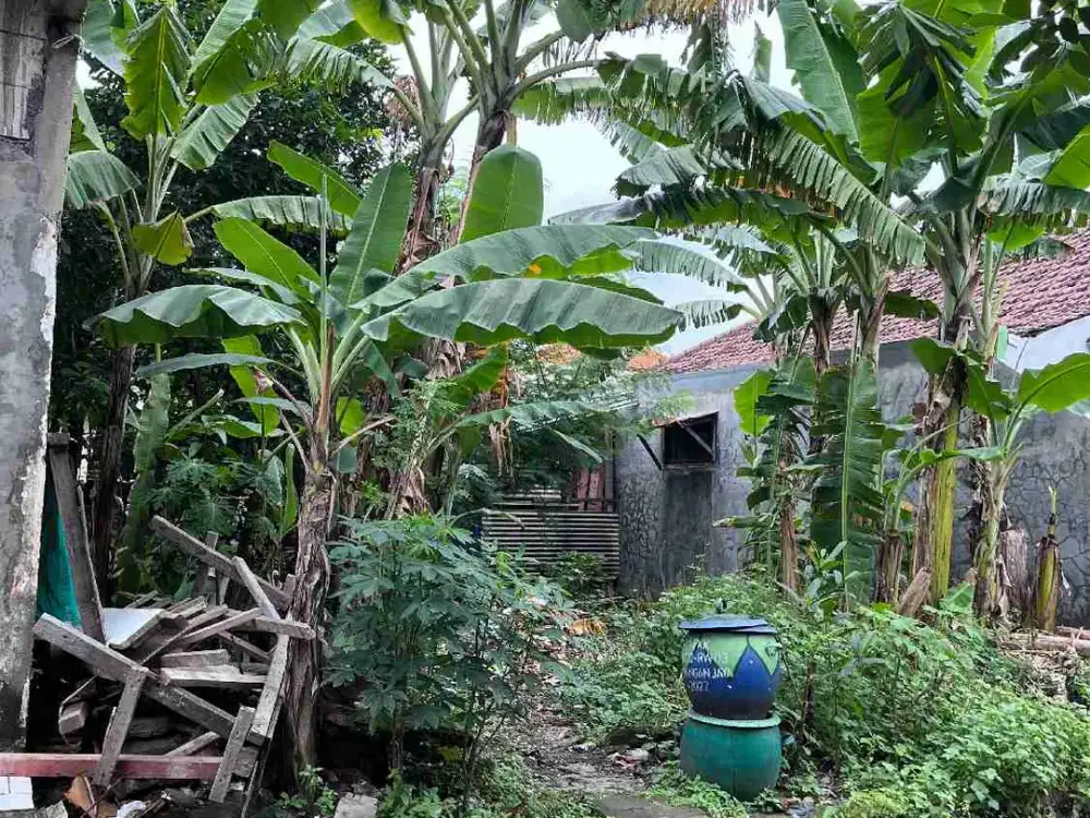 Karangan Jaya Dekat UNESA Surabaya