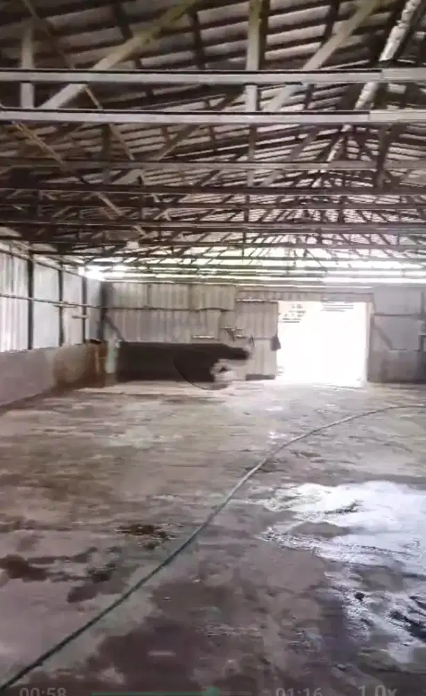 SEWA TANAH DAN BANGUNAN DI RAWABUAYA