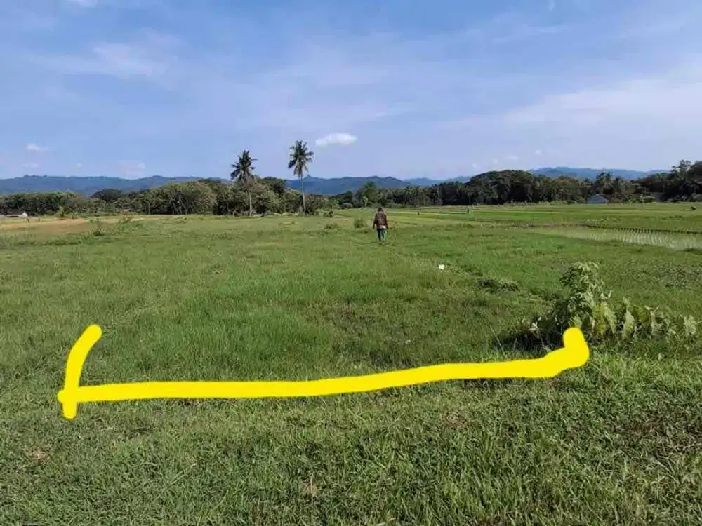 Dijual Tanah Sawah Murah di Minggir