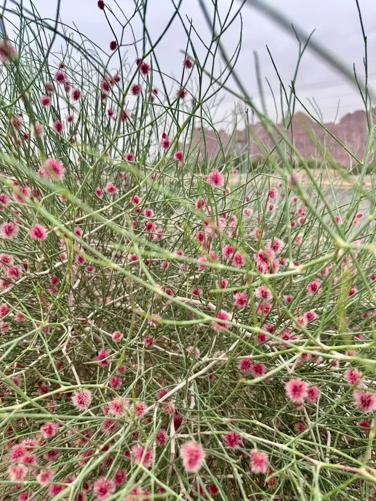 Karyawan toko/packing paket