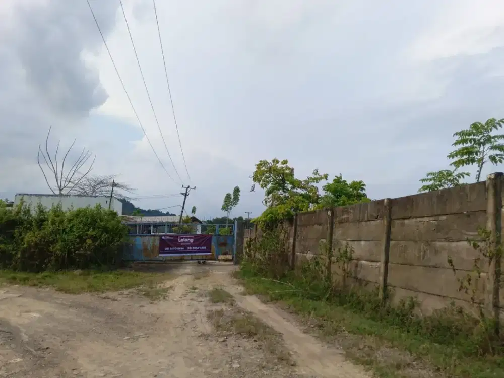 Tanah Strategis dan Luas di Kawasan Pesawaran, Lampung dekat dengan Jalan Raya Dirt Road