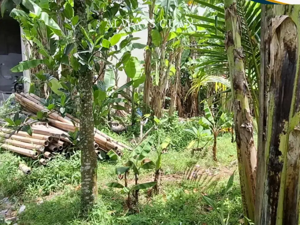 DISEWAKAN TANAH KEROBOKAN DEKAT UMALAS / SEMINYAK