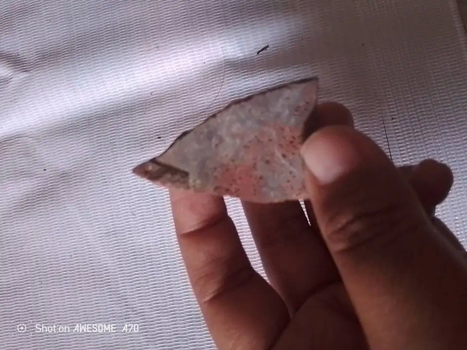 Koleksi Batu Akik Hati Ayam Coklat merah Antik