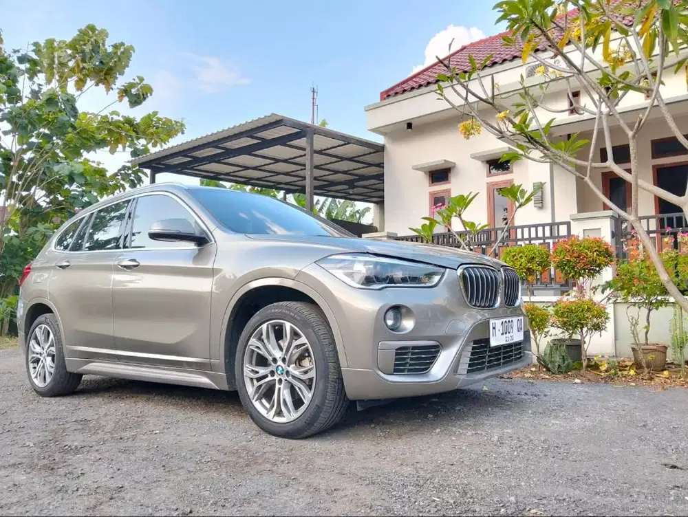 BMW X1 sDrive18i Panoramic 2019 low KM