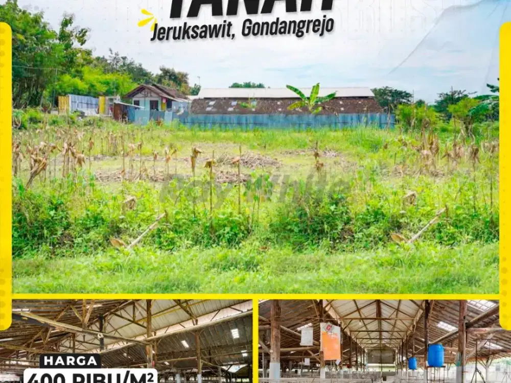 Lahan Luas Strategis Berizin Peternakan di Jeruksawit Gondangrejo, Fasilitas Lengkap