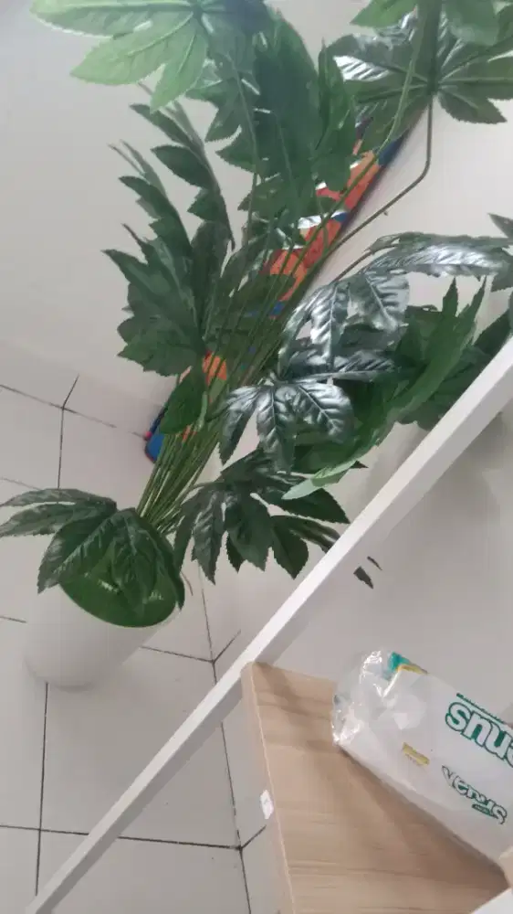 Dibutuhkan asisten rumah tangga