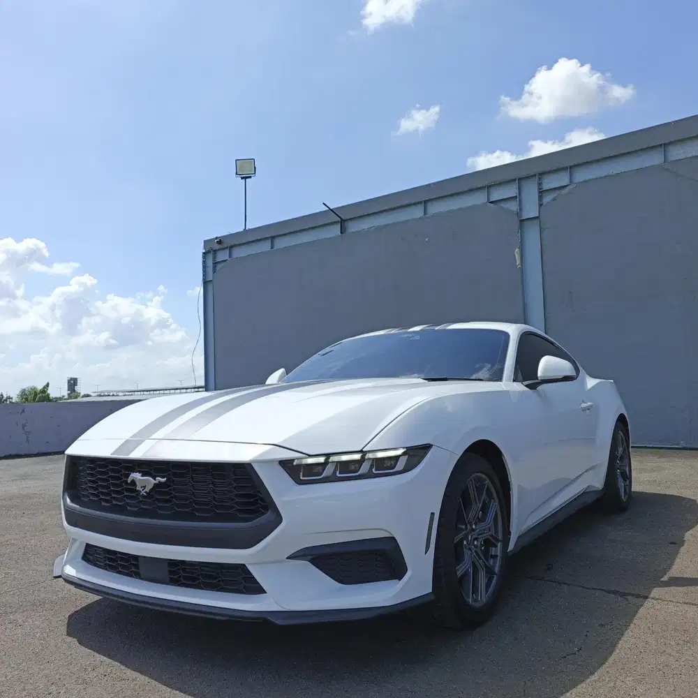 FORD MUSTANG ECOBOOST TURBO HIGH PERMORMANCE AT 2025 WHITE ON BLACK