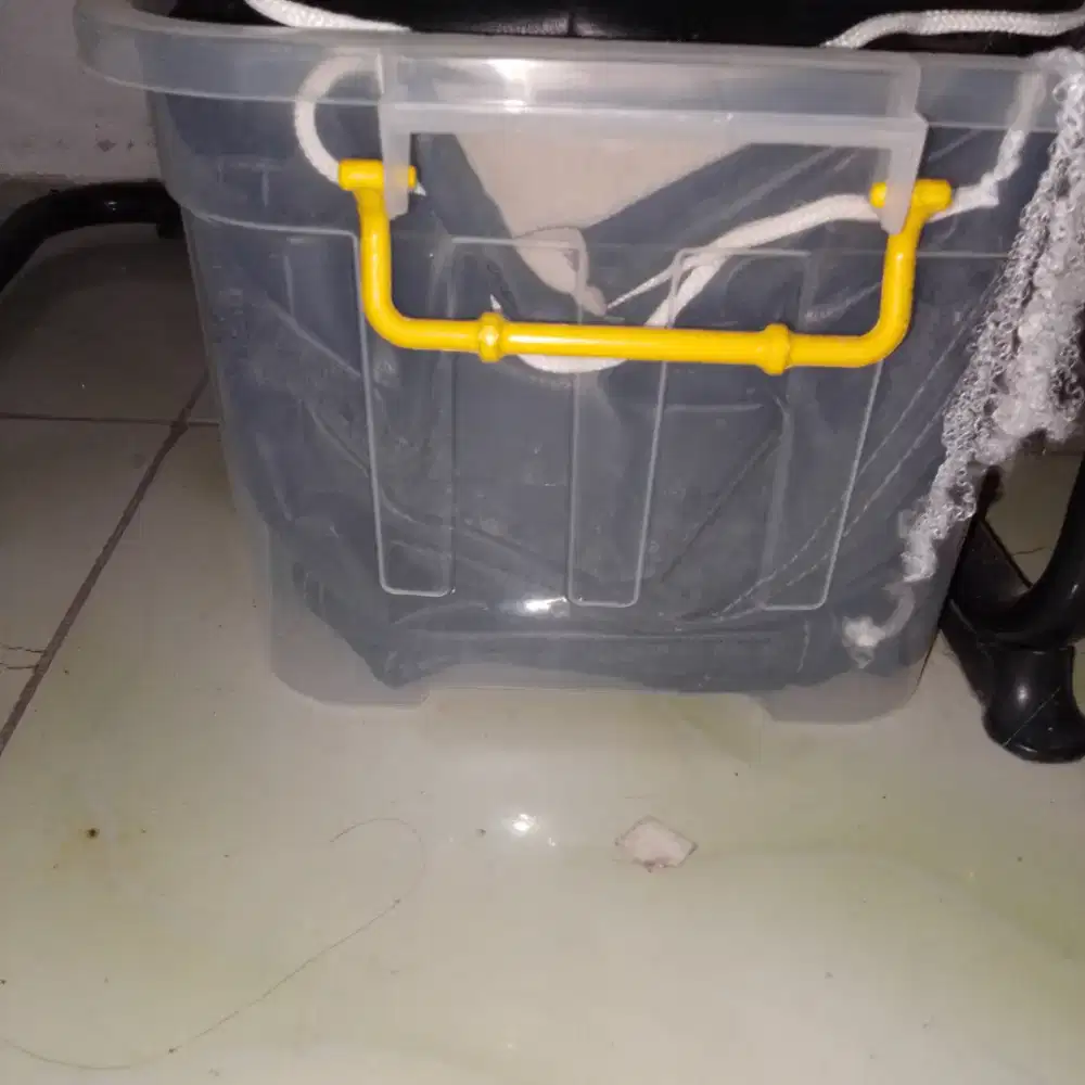 Sarung mobil rush mashi baru