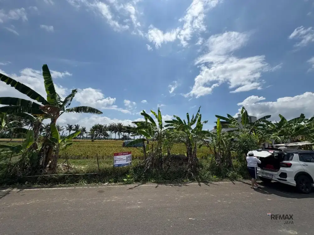 Tanah Kavling 12,64 Are Dijual, di Kedungu, Tabanan Area