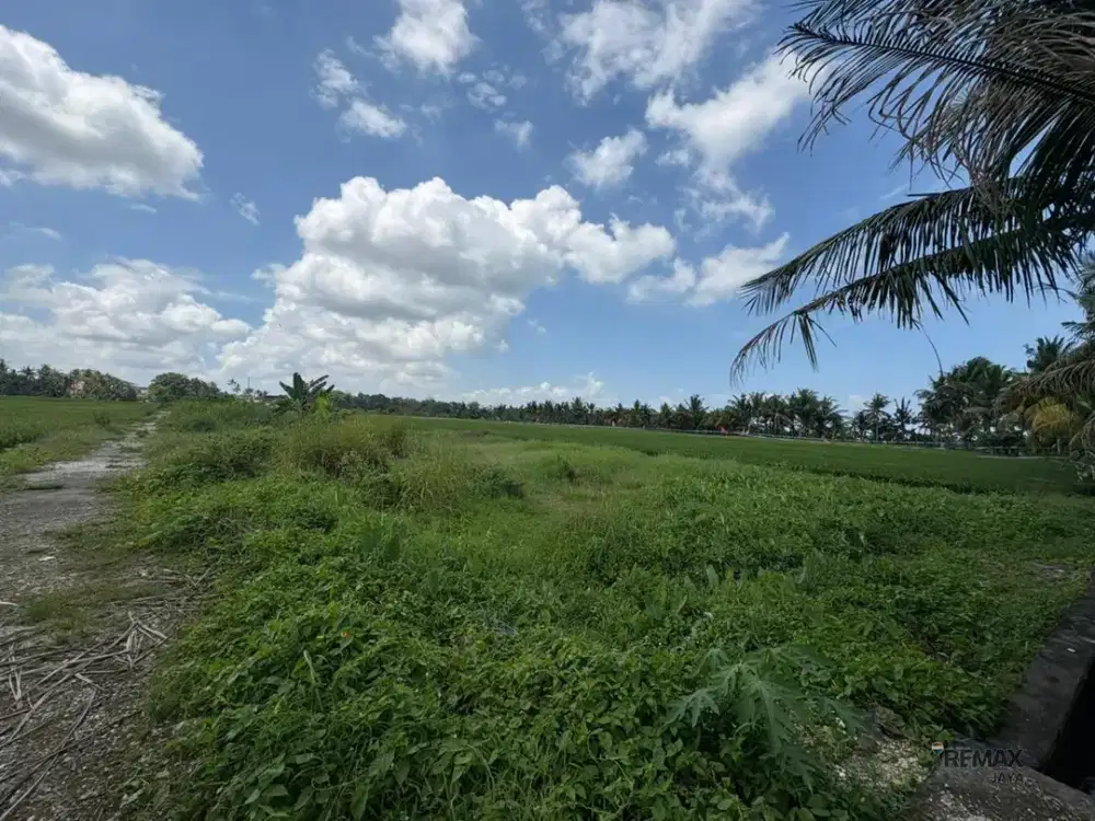 Tanah Kavling 3,26 Are Dijual, di Pangkung Tibah, Tabanan Area