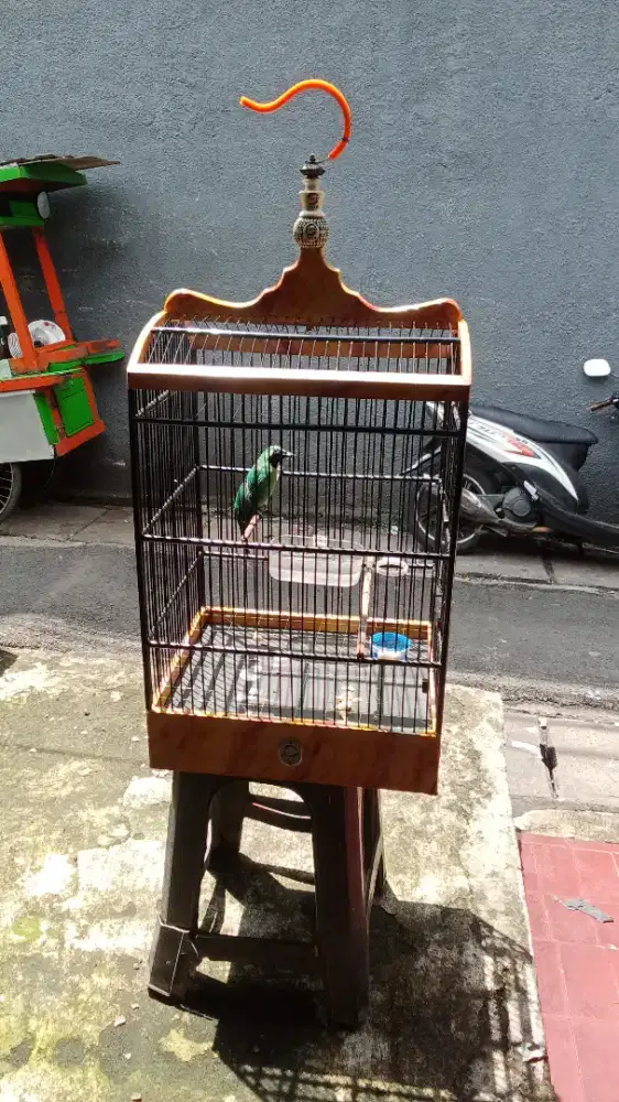 Sangkar No 3 EBOD jaya