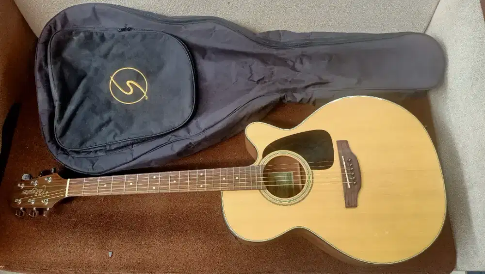 Takamine ed2nc nat original