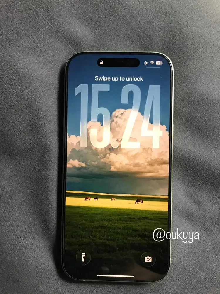 iPhone 17 Sage Green