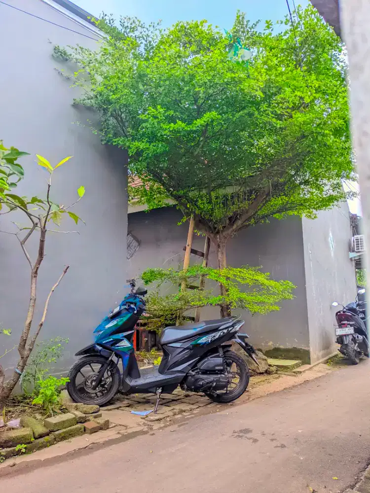 Beat 2023 lengkap hidup