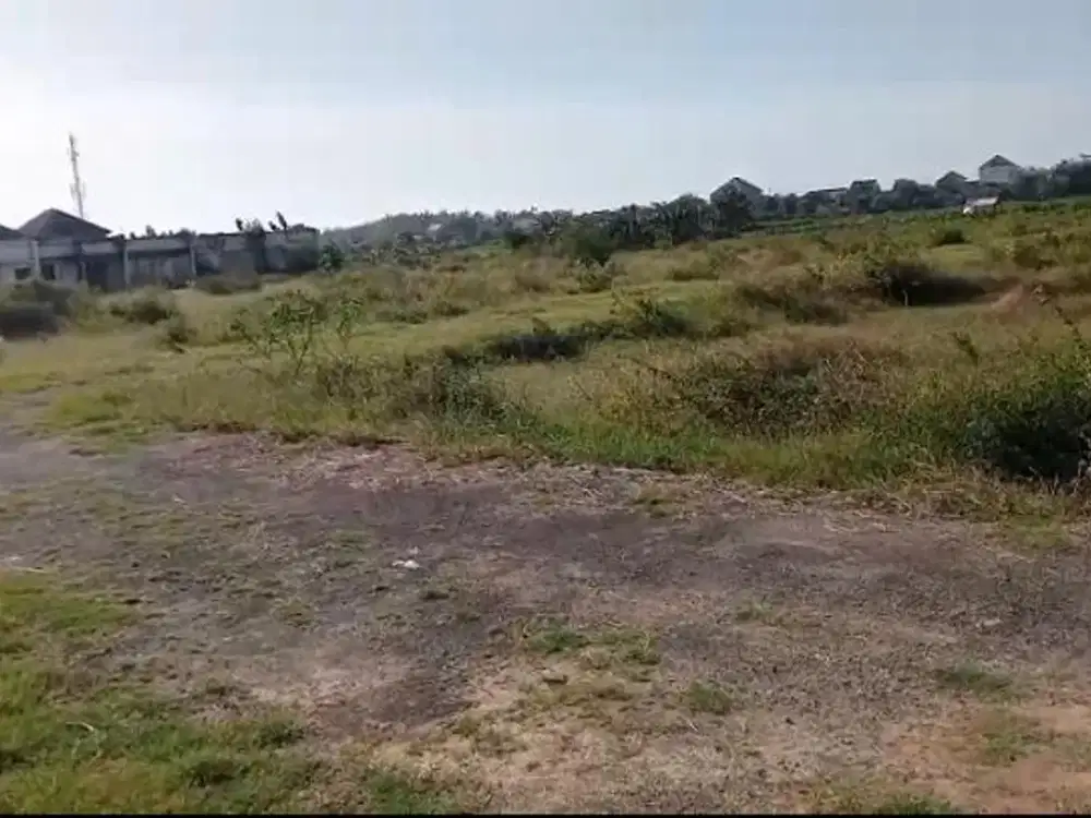 Lahan Luas Di Tuban Sudah Siap Bangun Lokasi Strategis Harga Terbaik