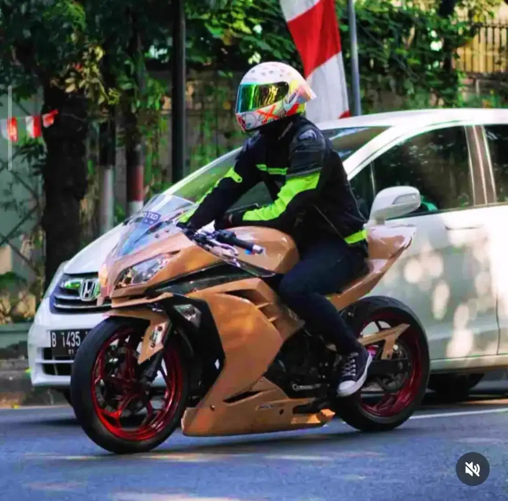 Kawasaki ninja 250 fi