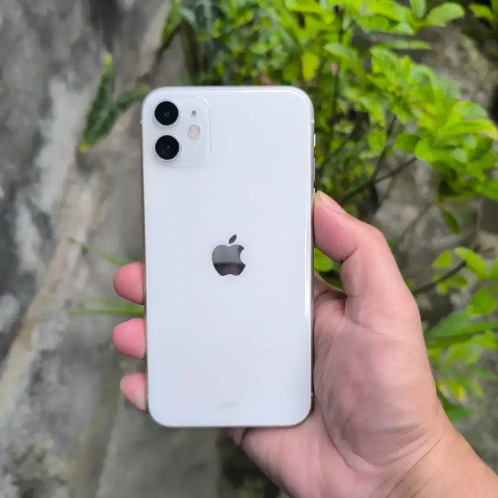Iphone 11 64gb ibox mulus