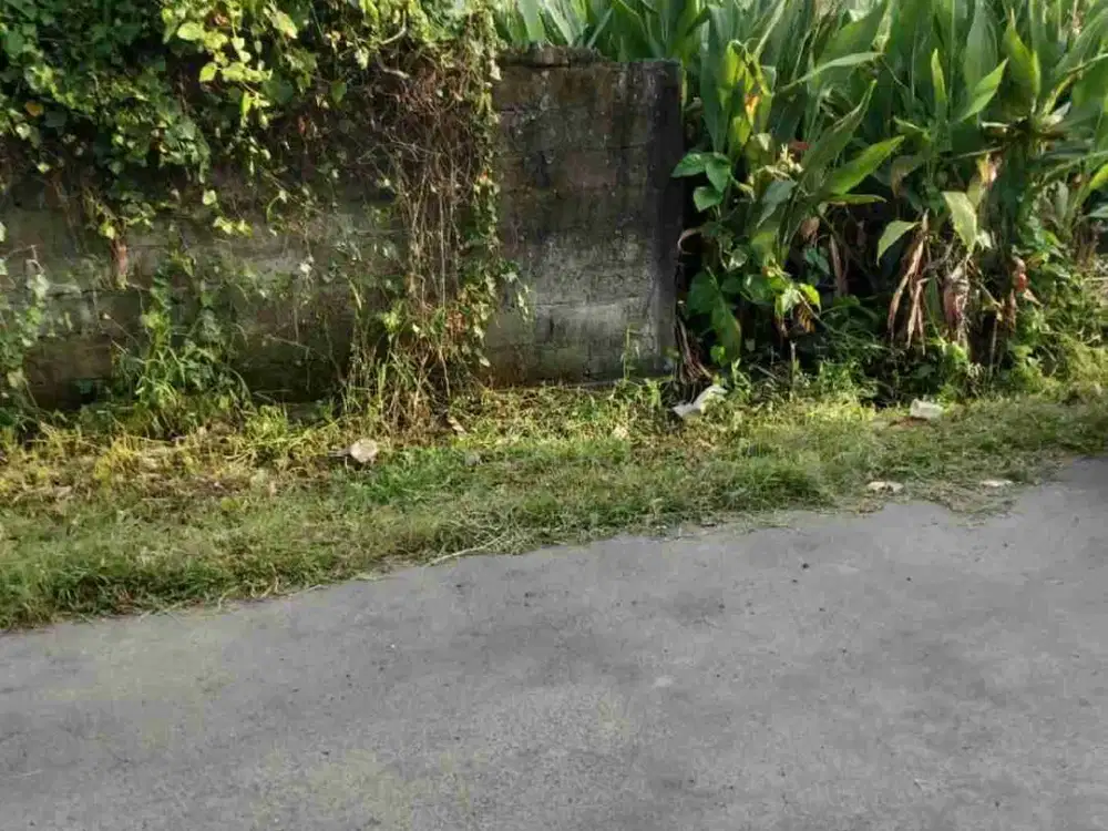 jl Tukad badung renon!! tanah 2 are di jual
