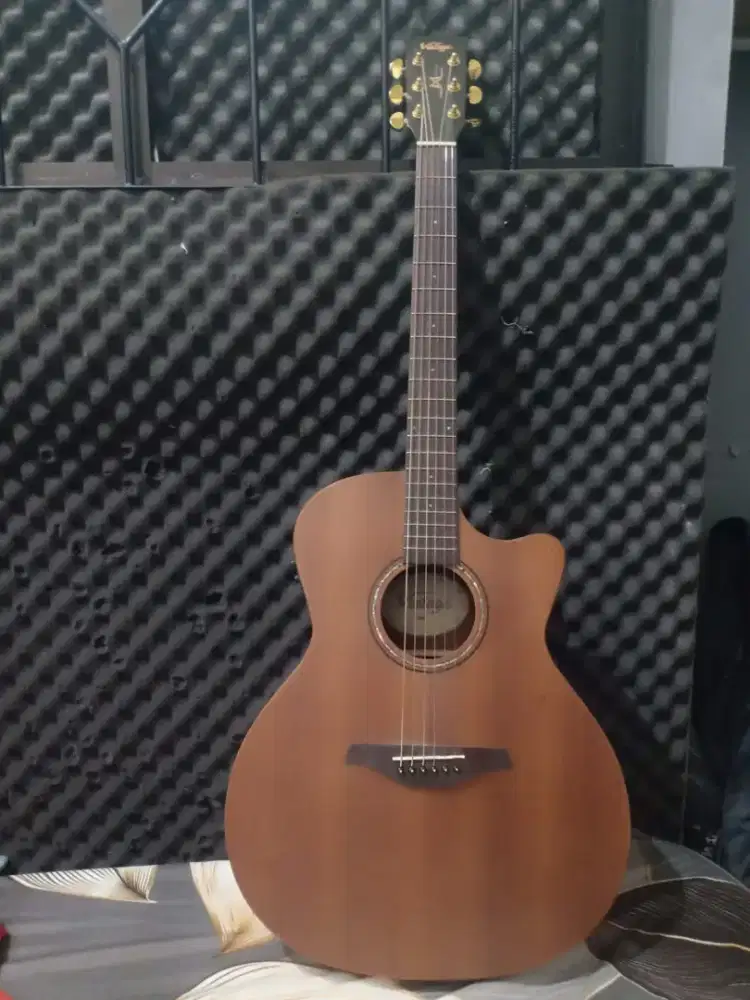 Gitar akustik VINTAGE M SERIS