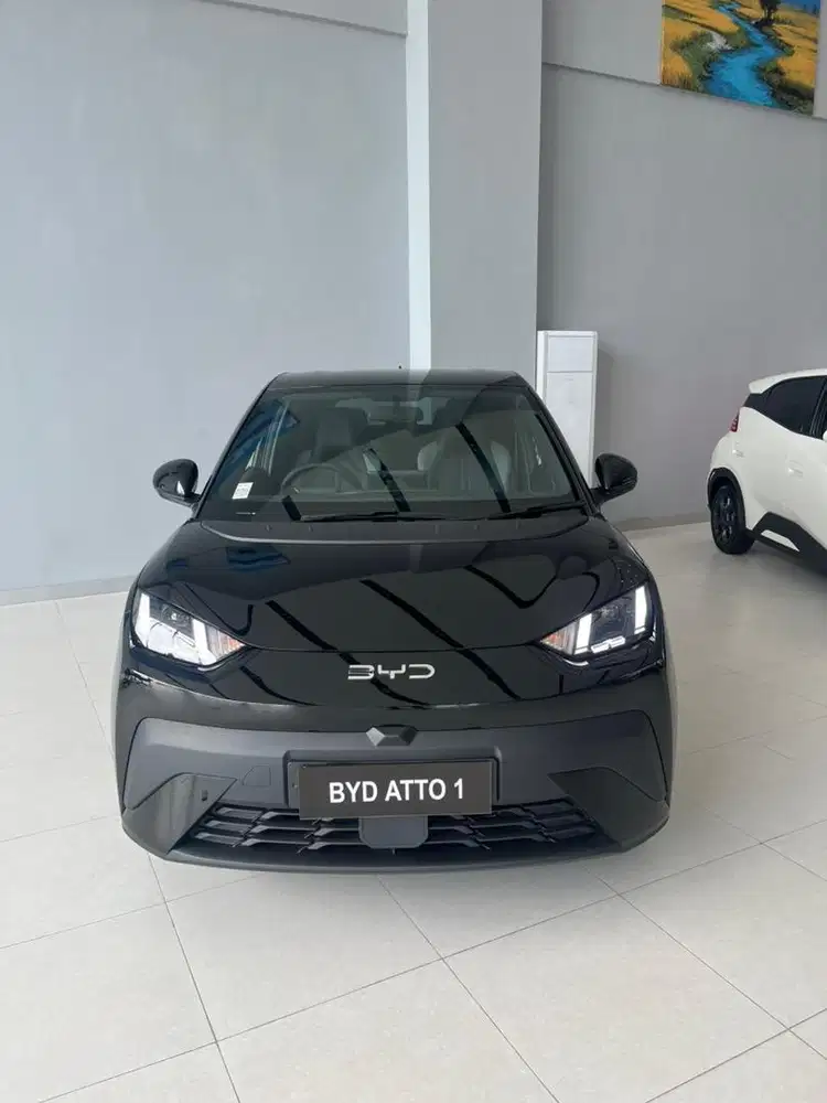 BYD ATTO 1 PREMIUM