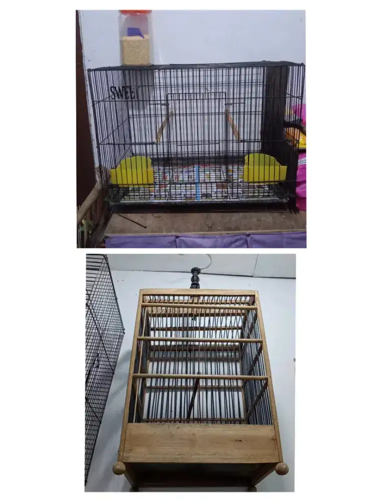 2 kandang 100 net