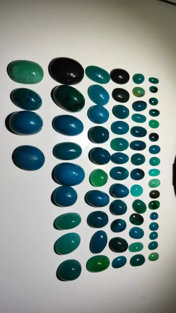 BACAN DOKO BORONGAN 66 PC MURMER ADA GULAU,MAJIKO,COKLAT