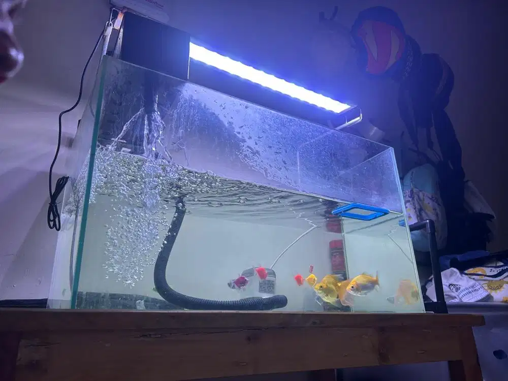 AQUARIUM 60*35*30 + FILTER+POMPA KANDILA+LAMPU