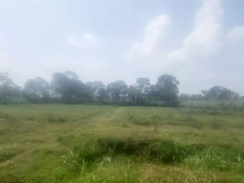 Jual Tanah 3 Menit Exit Tol Pakis Malang Akses 2 Mobil