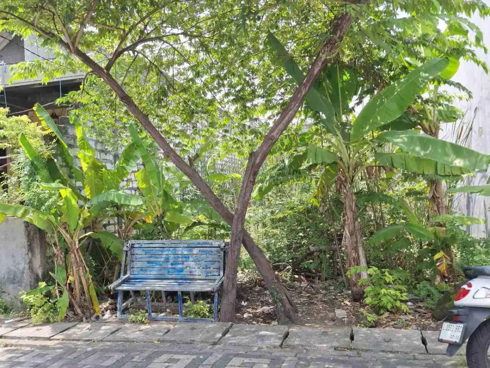 TANAH SHM dijual di Benowo, Pakal