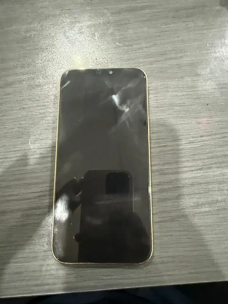 Iphone 12 promax inter 256gb batangan