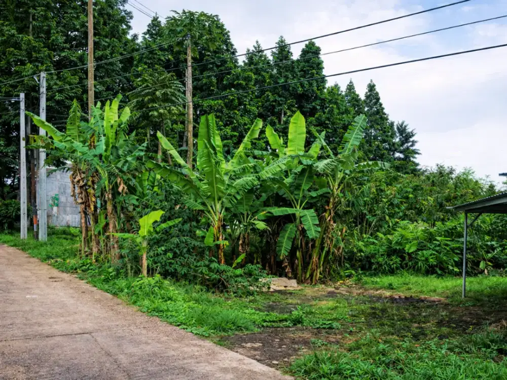 Kesempatan Punya Tanah di Area Favorit Setiabudi