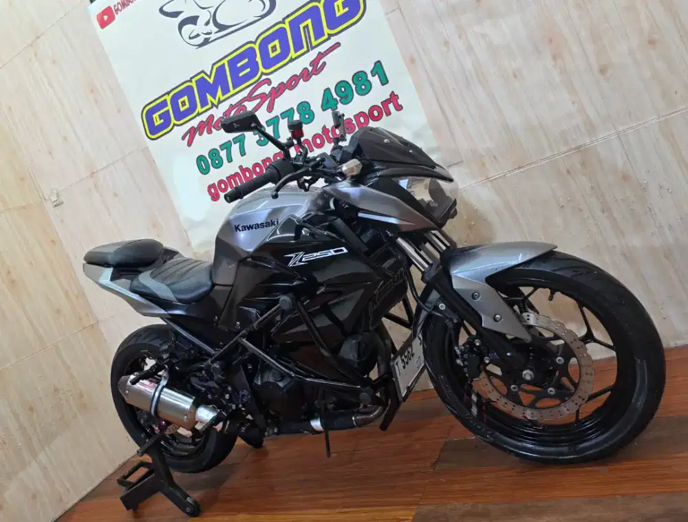 KAWASAKI Z 250 FI 2017 . Z250