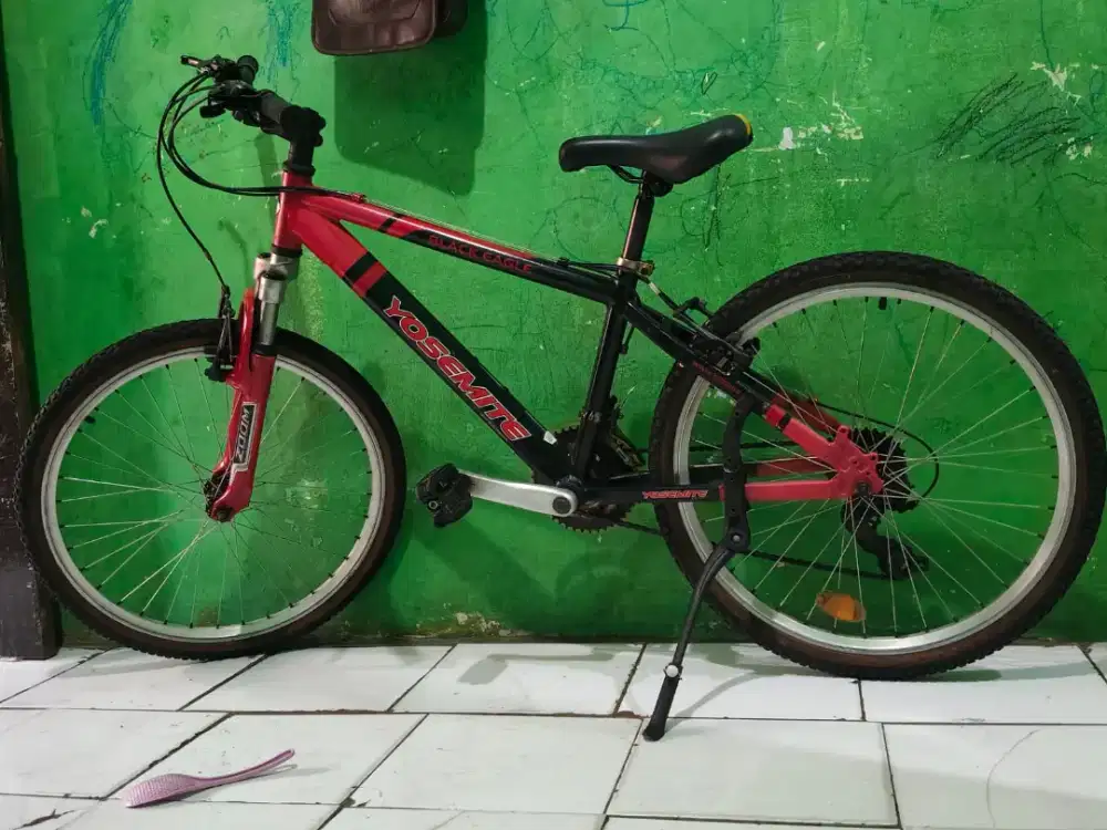 MTB YOSEMATE BLACK EAGLE BY USA (24)