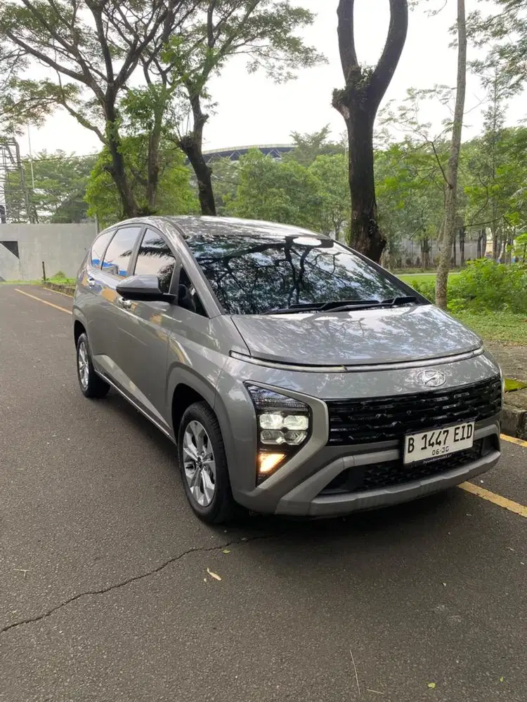 STARGAZER TREND ESSENTIAL 2025