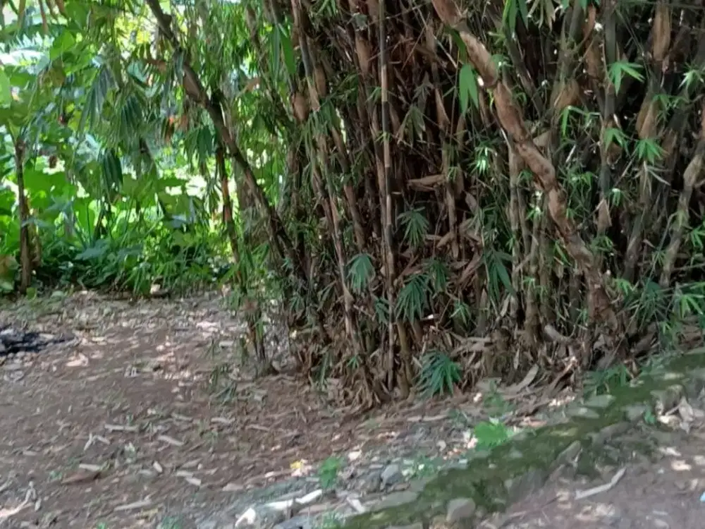 TANAH sangat dekat Lipo Supermal - ⁠cocok untuk Kost atau kontrakan