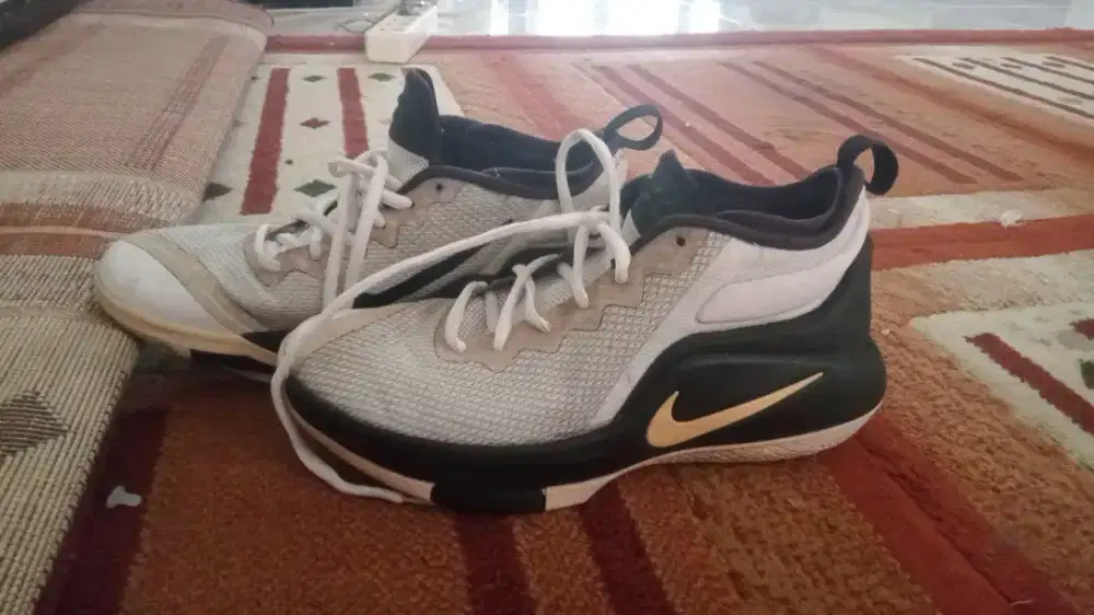 Sepatu pria Nike lebron whitnes 2 ,