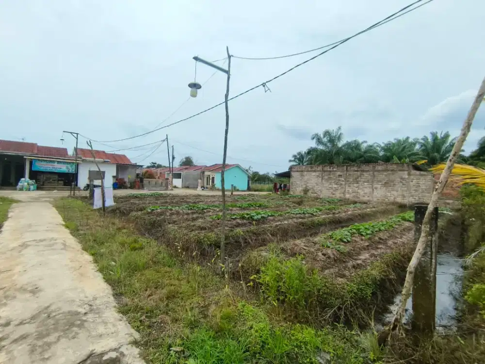 DIJUAL CEPAT BIDANG TANAH TALANG JAMBE DEPAN PERUMAHAN GRIYA BERSAMA