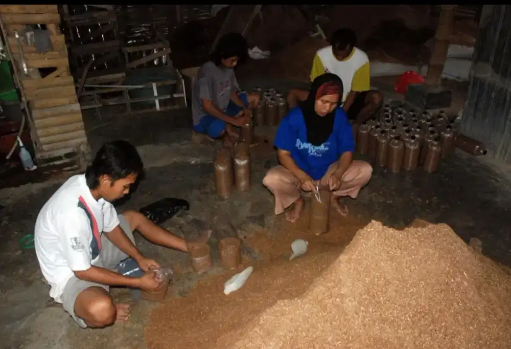 Lowongan Pekerjaan Siap Kerja