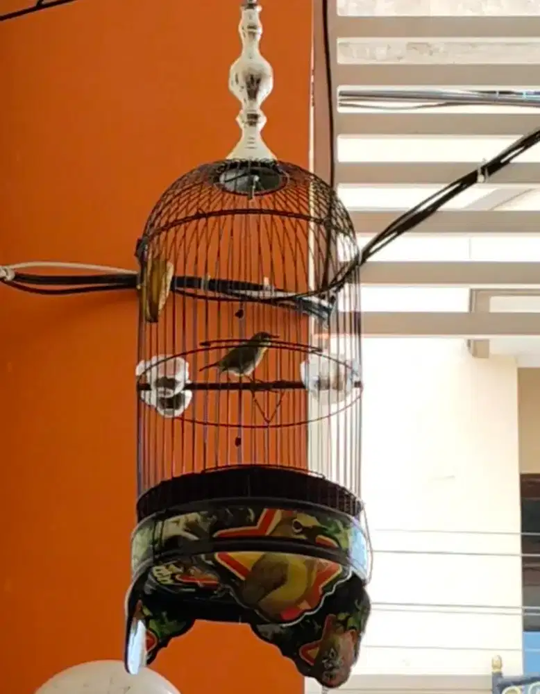 Sangkar burung kecil