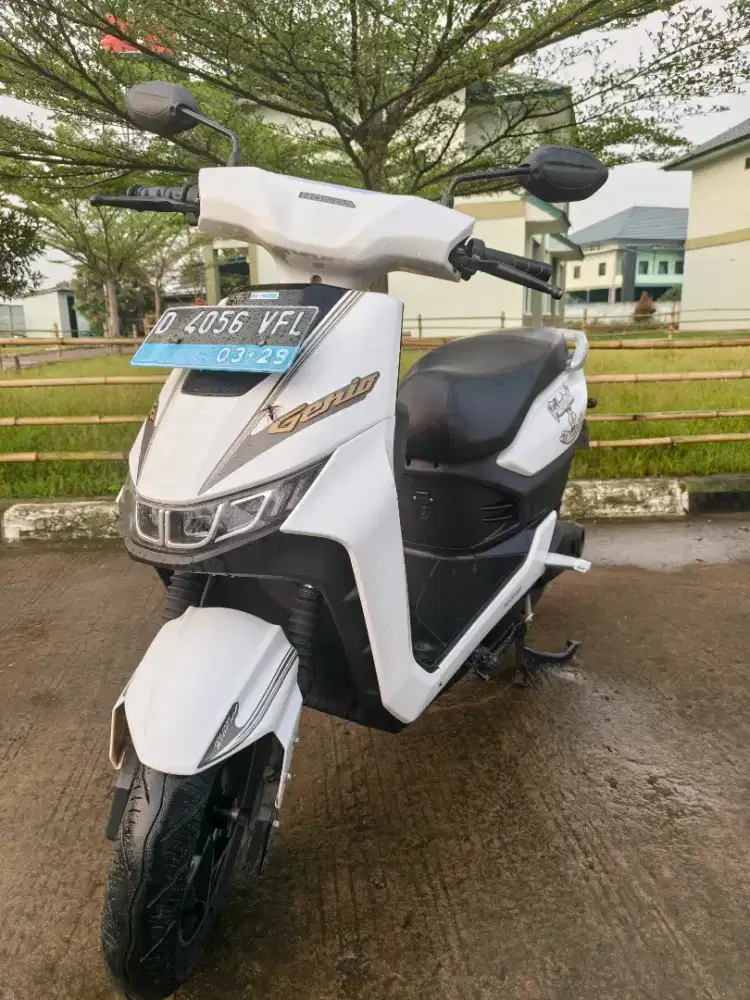 Molis motor listrik T9 yadea 2000-3000 watt istimewa