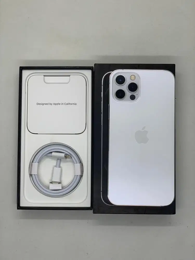 iPhone 12 Pro 256GB Resmi ex Digimap Silver