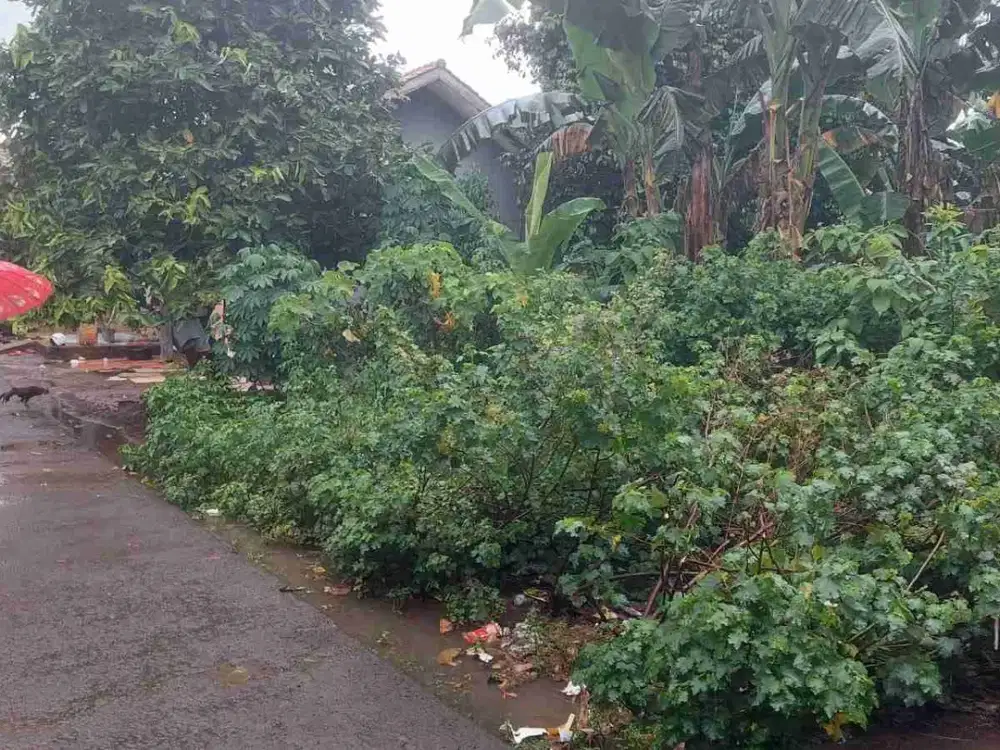 Tanah Kavling MURAH Siap Bangun Di Ciater Barat dekat stasiun Rawa Buntu BSD