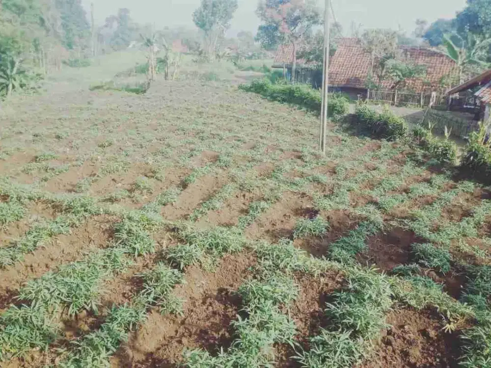 JUAL CEPAT TANAH HARGA TERJANGKAU AKSES MASUK MOBIL BANJARAN BANDUNG SELATAN