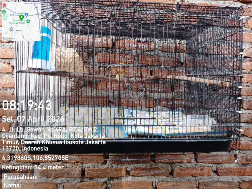 Kandang kotak besi ukuran 60x40x40 fullset manyar